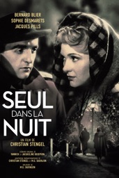 Seul dans la nuit