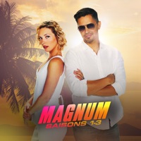 Télécharger Magnum, Saisons 1-3 (VF) Episode 31