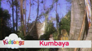 Kumbaya from Kidsongs: The 50 Best Summer Songs - Kidsongs
