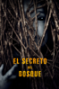 El Secreto Del Bosque - Vikram Jayakumar