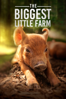 The Biggest Little Farm - John Chester