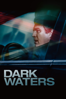 Dark Waters - Todd Haynes