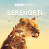 Serengeti - Serengeti Cover Art