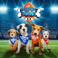 Puppy Bowl, Season 19