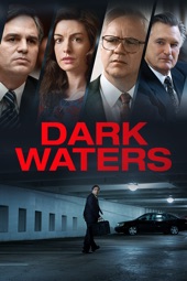 Poster for Dark Waters by Todd Haynes