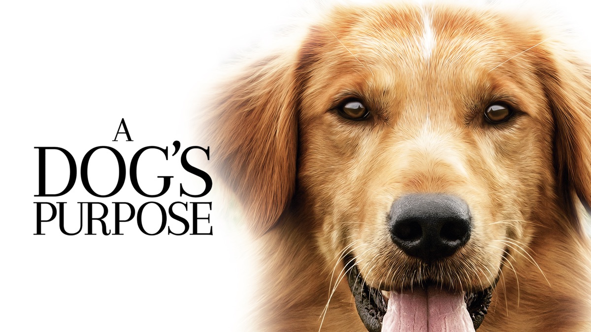 A Dog's Purpose Apple TV