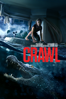 Crawl - Alexandre Aja