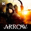 Les Frères Brothers  Arrow, Saison 7 (VF)