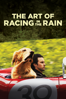 The Art of Racing in the Rain - Simon Curtis