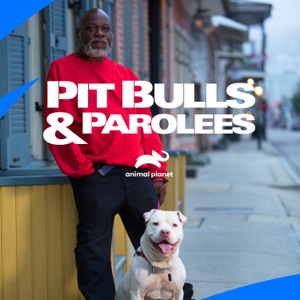 Pit Bulls and Parolees, Season 15 - Episode 3