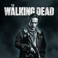 The Walking Dead - The Walking Dead, Season 6 artwork