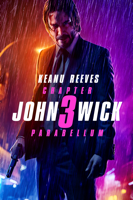 John Wick: Chapter 3 - Parabellum - Chad Stahelski