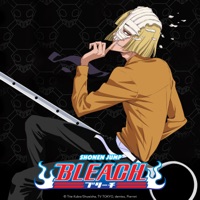 Bleach (English) Pt. 8