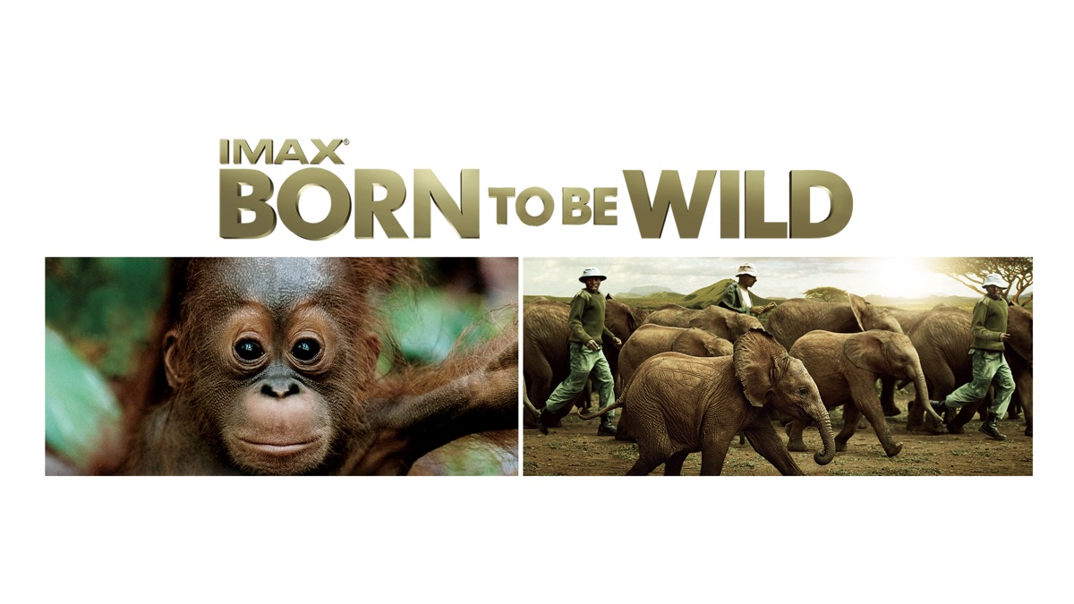 Born to Be Wild - Apple TV