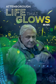 Attenborough's Life That Glows