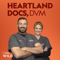 Télécharger Heartland Docs, DVM, Season 2 Episode 8
