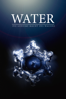 Water: Die geheime Macht des Wassers - Anastasiya Popova