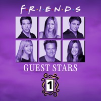 Télécharger Friends, Guest Stars, Vol. 1 (VF) Episode 16