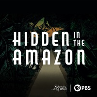 Hidden in the Amazon