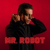 Mr. Robot