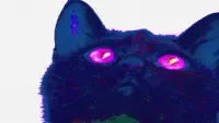 Kitty Sucker — Frank Carter & The Rattlesnakes