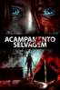 Acampamento Selvagem - Christopher M. Don