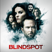 Love you to Bits and Bytes - Blindspot Cover Art