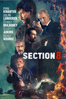 Section 8 - Christian Sesma