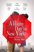 A Rainy Day in New York