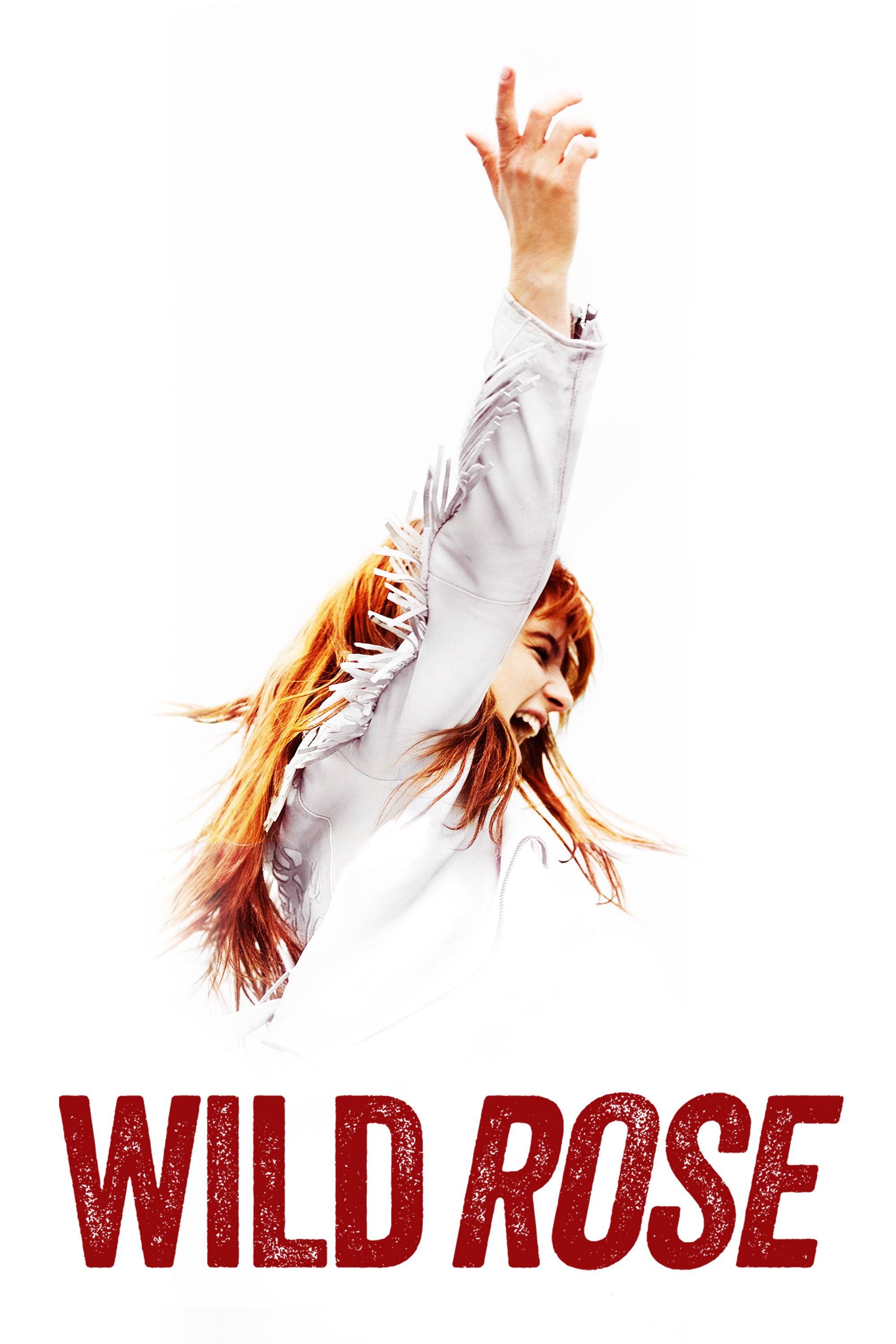 Wild Rose Poster