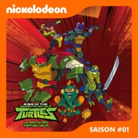 Télécharger Le Destin des Tortues Ninja, Saison 1, Partie 2 Episode 12