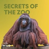 Secrets of the Zoo, Season 3