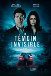 Le témoin invisible (VOST)