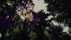 So High