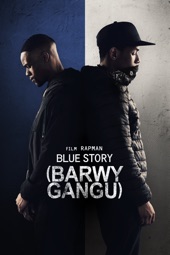 Poster for Blue Story by Rapman