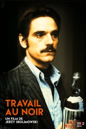 Travail au noir (VOST)