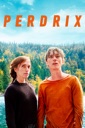 Affiche du film Perdrix