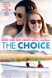 Poster for The Choice by Ross Katz