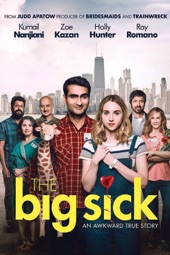 Poster for The Big Sick by Michael Showalter