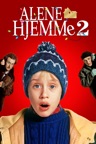 Home Alone 2: Lost in New York