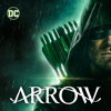 Arrow: The Complete Series - Arrow