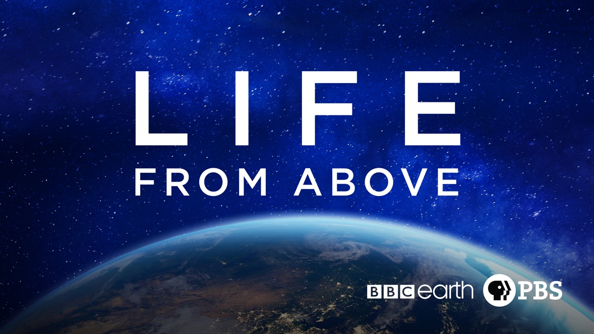 ‎Life From Above - Apple TV