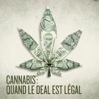 Télécharger Cannabis : quand le deal est légal Episode 1