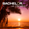 Bachelor in Paradise - Bachelor in Paradise, Season 6  artwork
