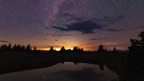 Starseeds