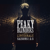 Peaky Blinders, l'intégrale des saisons 1 à 5 (VOST)