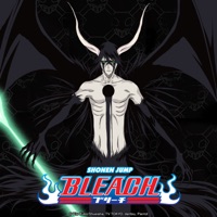 Bleach (English) Pt. 10