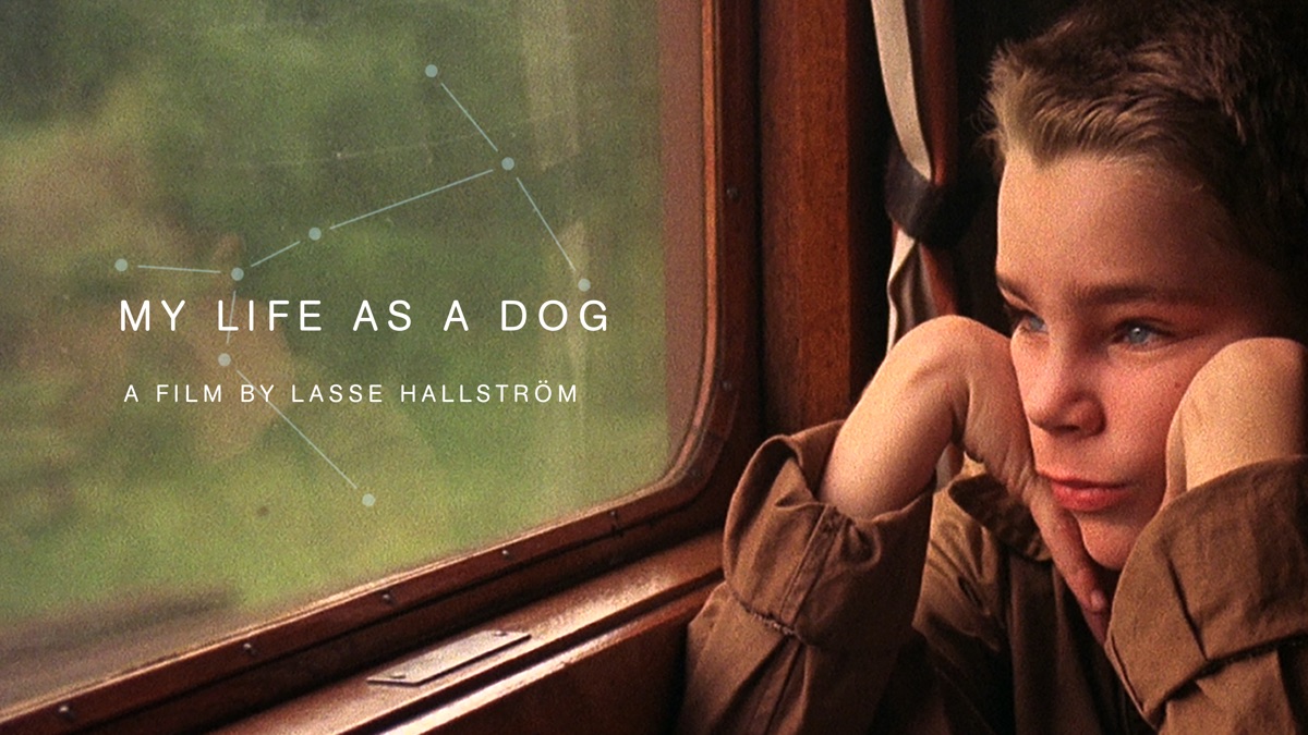 ‎My Life as a Dog - Apple TV