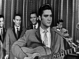 Hound Dog