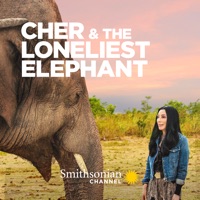 Cher & the Loneliest Elephant